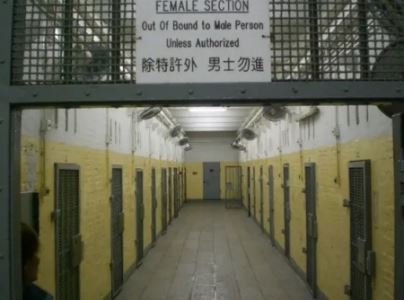 唐山菜刀队大案侦破纪实：被枪毙50多人