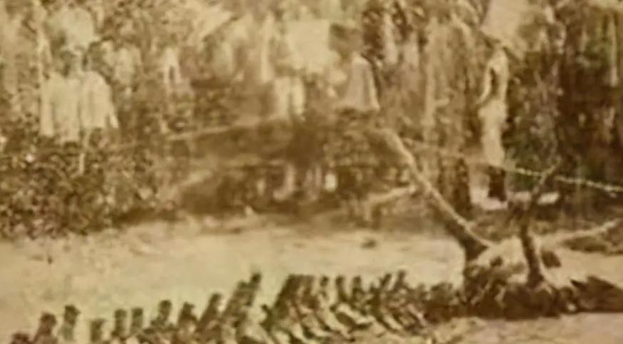 绝对真实的十大灵异事件：1934年营口坠龙事件