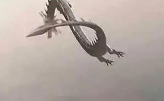 世上真有龙？揭秘1934年营口坠龙真相