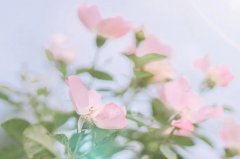 醉蟹的正确吃法