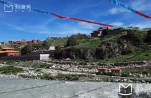 北京师范大学强基计划有哪些专业？北师大强基专业汇总 2025参考