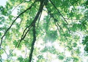 北京理工大学珠海学院招生网官网入口
