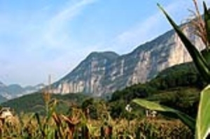 2025年上海多少分能上科技大学？高考最低136分录取
