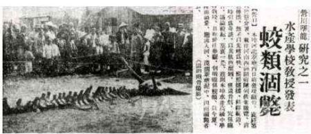乖巧反义词是如何回事？乖巧反义词是什么字