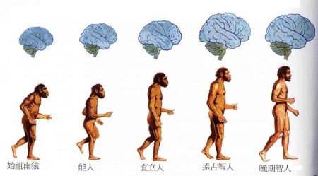 世界上有没有天蛾人？天蛾人已不再神秘