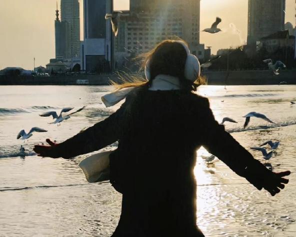 韩国理论电影明星有哪些