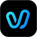 vidu