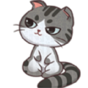 熊大猫