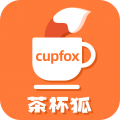 cupfox .茶杯狐