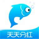 小猫种鱼安卓小游戏