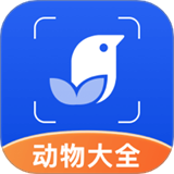 动物世界
