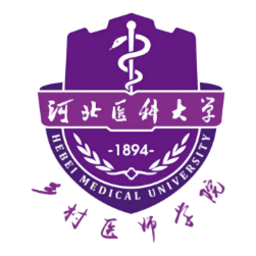 河北乡医软件