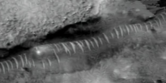 外太空的火星出现管状物体？