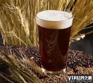 世界上最受欢迎的酒类 各个国家的啤酒文化（各国啤酒）