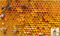 蜂王浆怎么吃效果最好