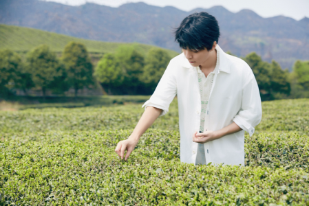 3749.3亿！新中式茶饮崛起金尘茶携手王俊凯打造国潮茶饮品牌